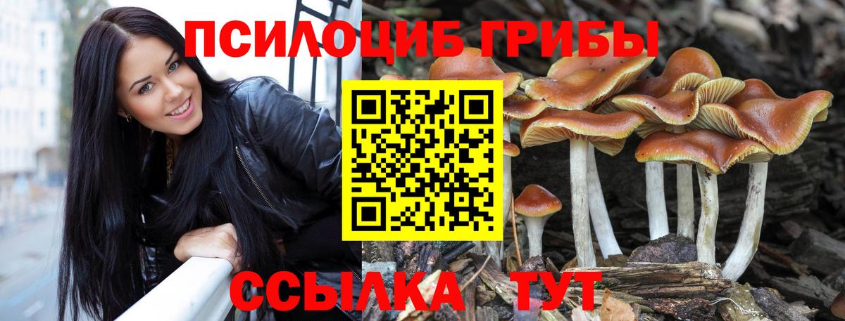 Псилоцибиновые грибы ЛСД Усинск